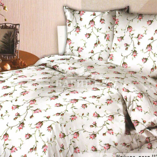 Чайная роза вид1