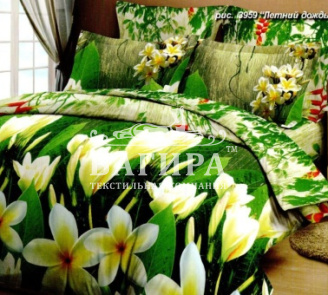 Летний дождь вид 2