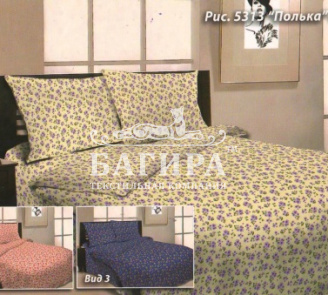 Полька вид 2