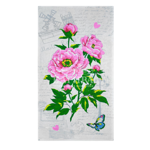 Розовый куст Белый