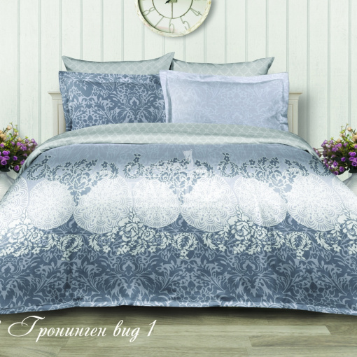 Гронинген вид 1