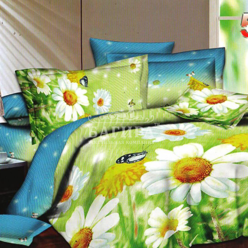 Белые ромашки