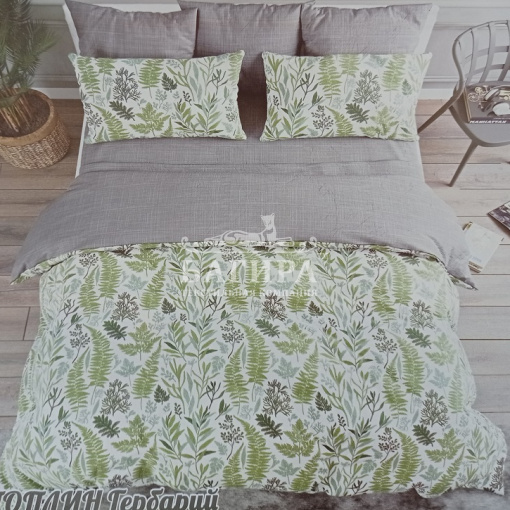 Гербарий вид 2