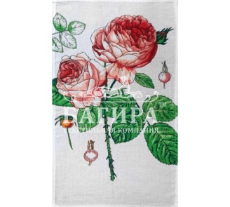 Роза