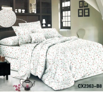 CX 2363-B 8