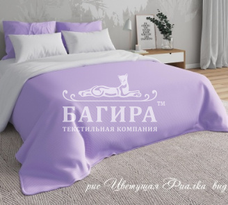 Цветущая фиалка вид 1