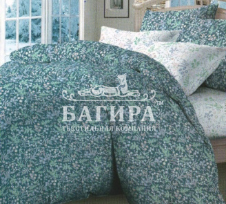 Евангелиста