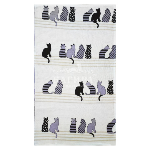 Котики