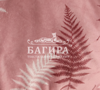 Папоротник