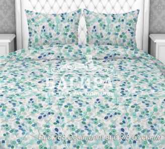 Эвкалипт синий