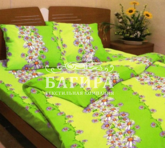 Садовые Ромашки