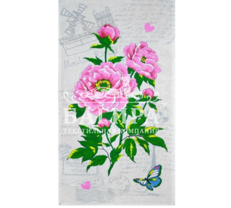 Розовый куст Белый