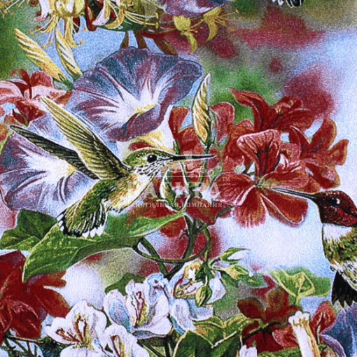 Птички