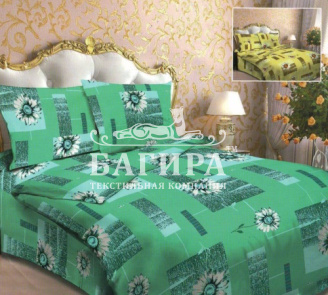 Ромашки 2 вид 2