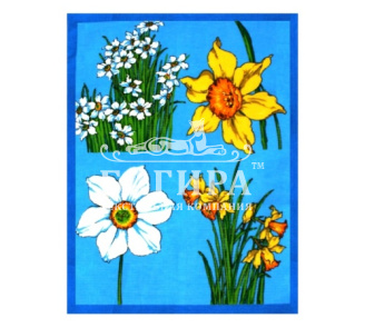 Нарцисс (вид2)