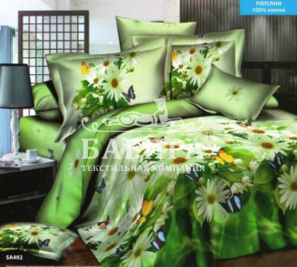 Бабочка на ромашке