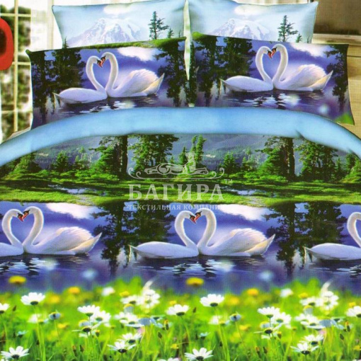 Пара лебедей 2