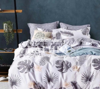 Тропический лес