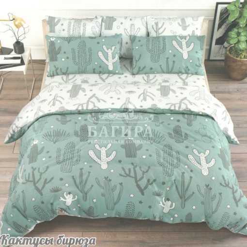 Кактусы бирюза