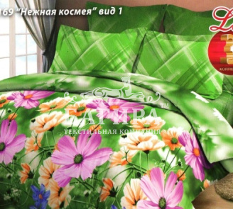 Нежная космея