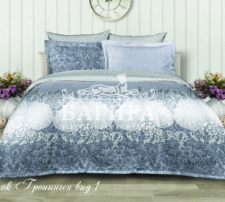 Гронинген вид 1