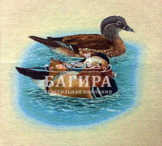 Утки