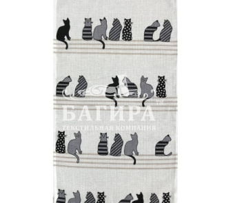 Котики белый