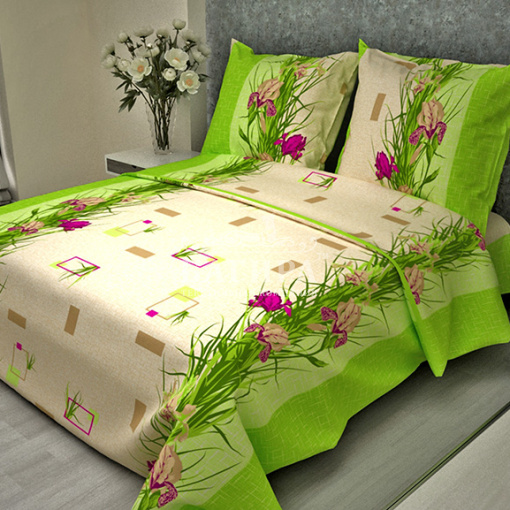 Ирисы (вид 2)