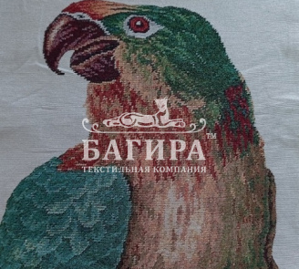 Попугай Ара