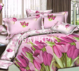 Тюльпаны в росе