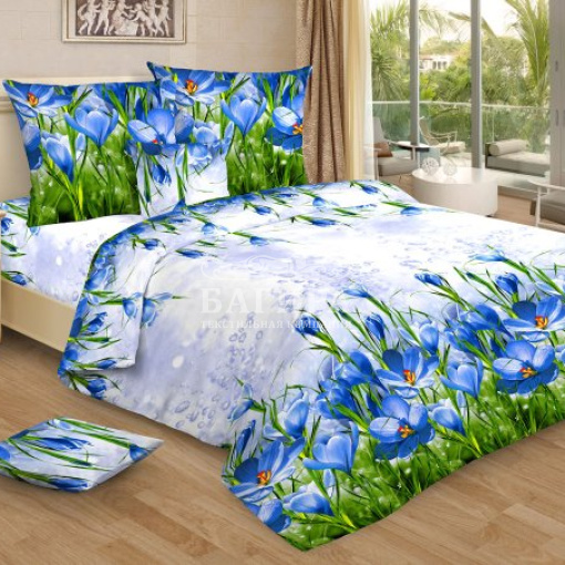 Меланхолия (вид 2)