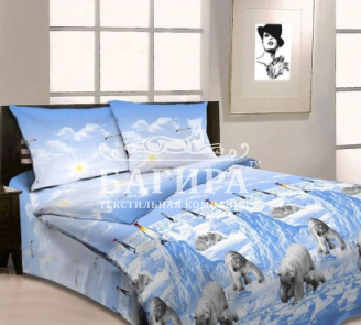 Арктика вид 1