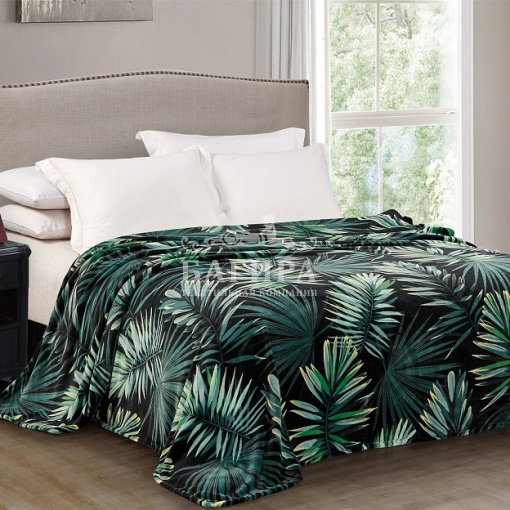 Монстера (софт)