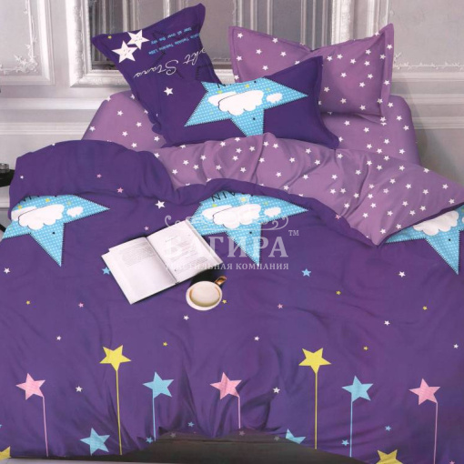 Звездная ночь вид 5