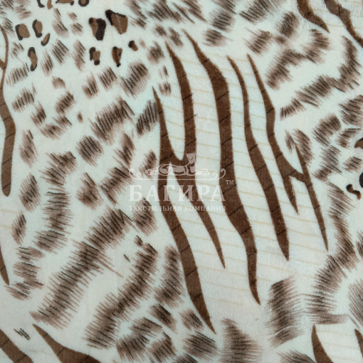 Гепард вид 2