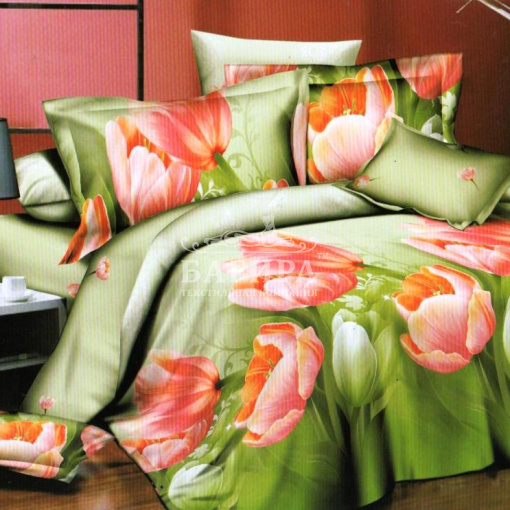 Поле тюльпанов