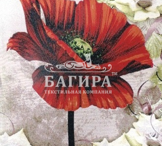 Пора Тюльпанов