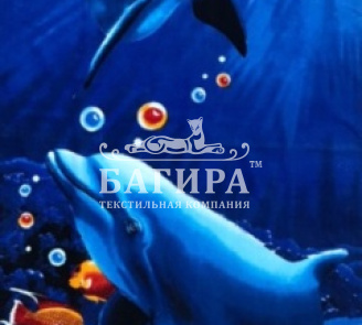 Коралловый риф