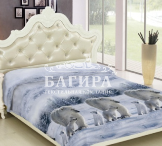 Полярная семья