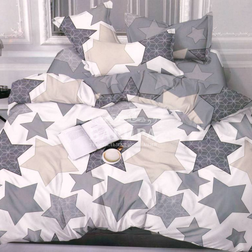 Звездная ночь вид 2