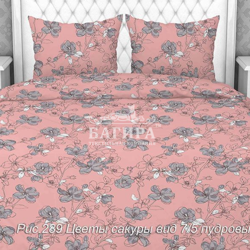 Цветы сакуры пудровый