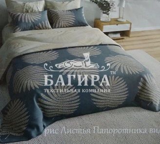 Листья папоротника вид 1