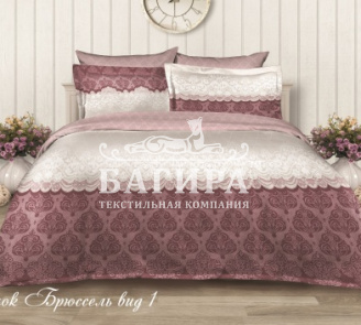 Брюссель вид 1