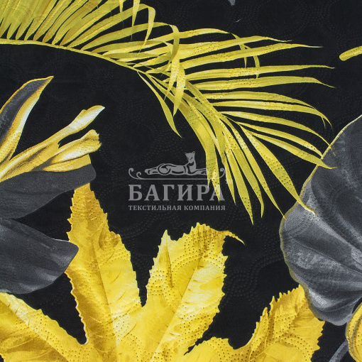 Монстера черный