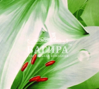 Сказочный сон (вид 1)