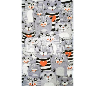 Котики 2