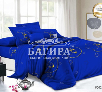 Звёздная ночь