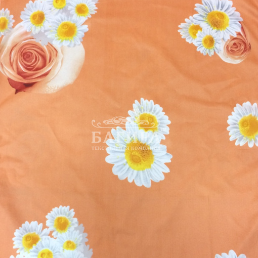 Ромашки на розе