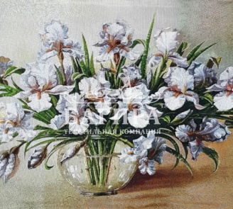 Белые Ирисы