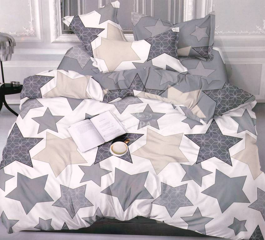 Звездная ночь вид 2